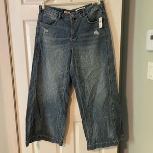 NWT Anthropologie Pilcro wide leg jeans
